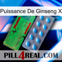 Ginseng Power X new03